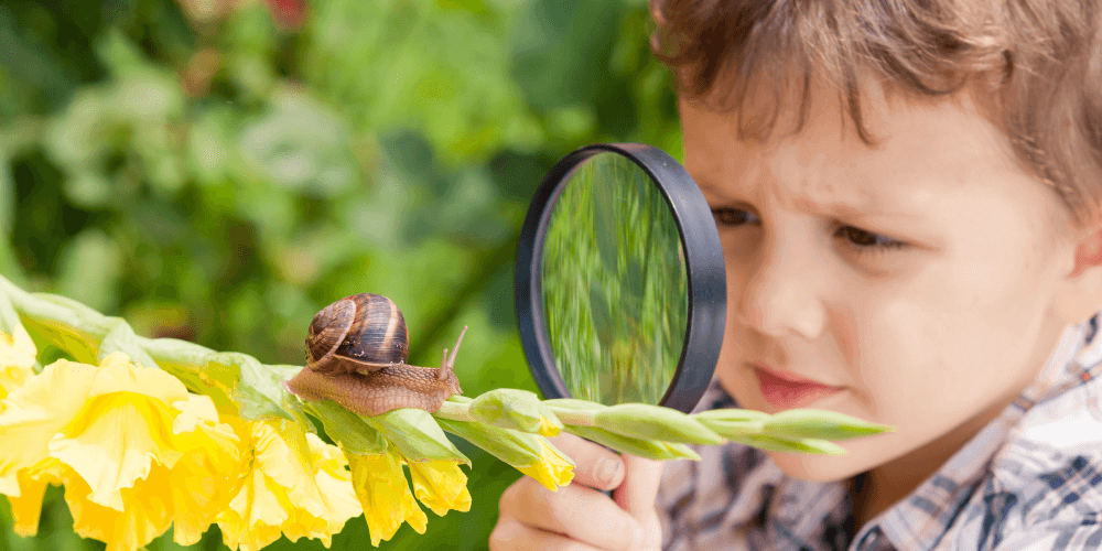 Un jeune garçon regardant un escargot avec sa loupe